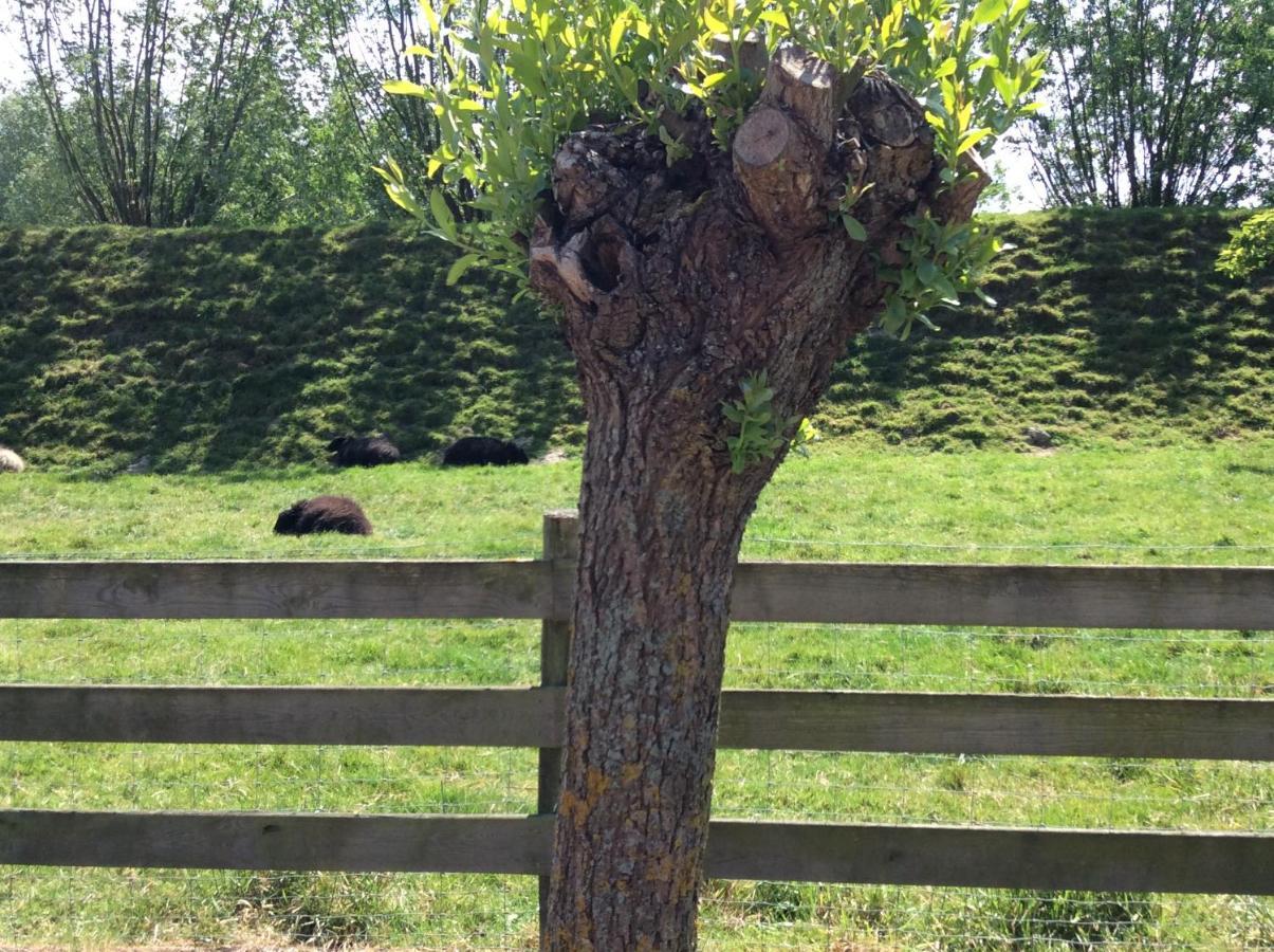 B&B De Tol Hulst Eksteriør bilde