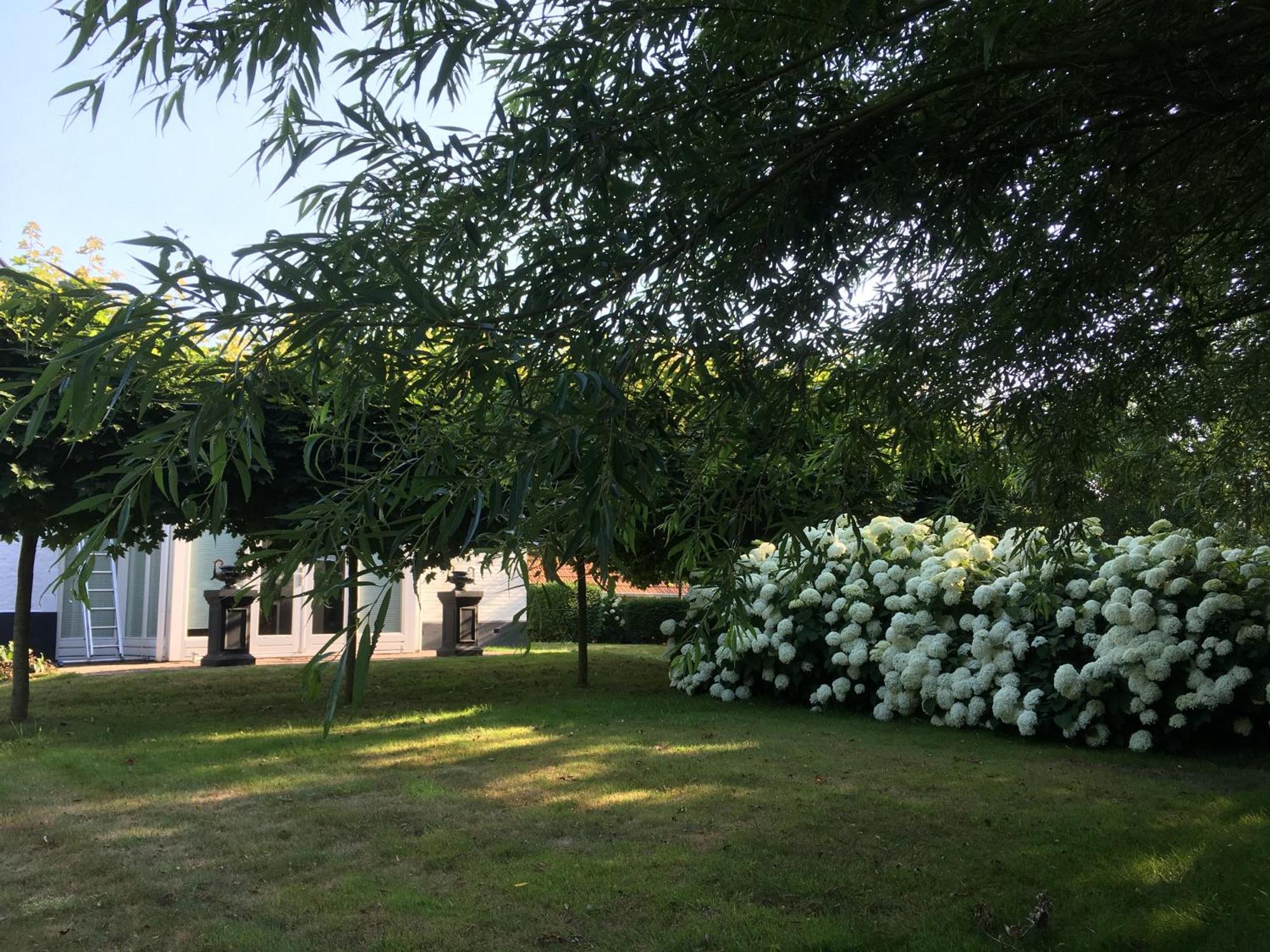 B&B De Tol Hulst Eksteriør bilde