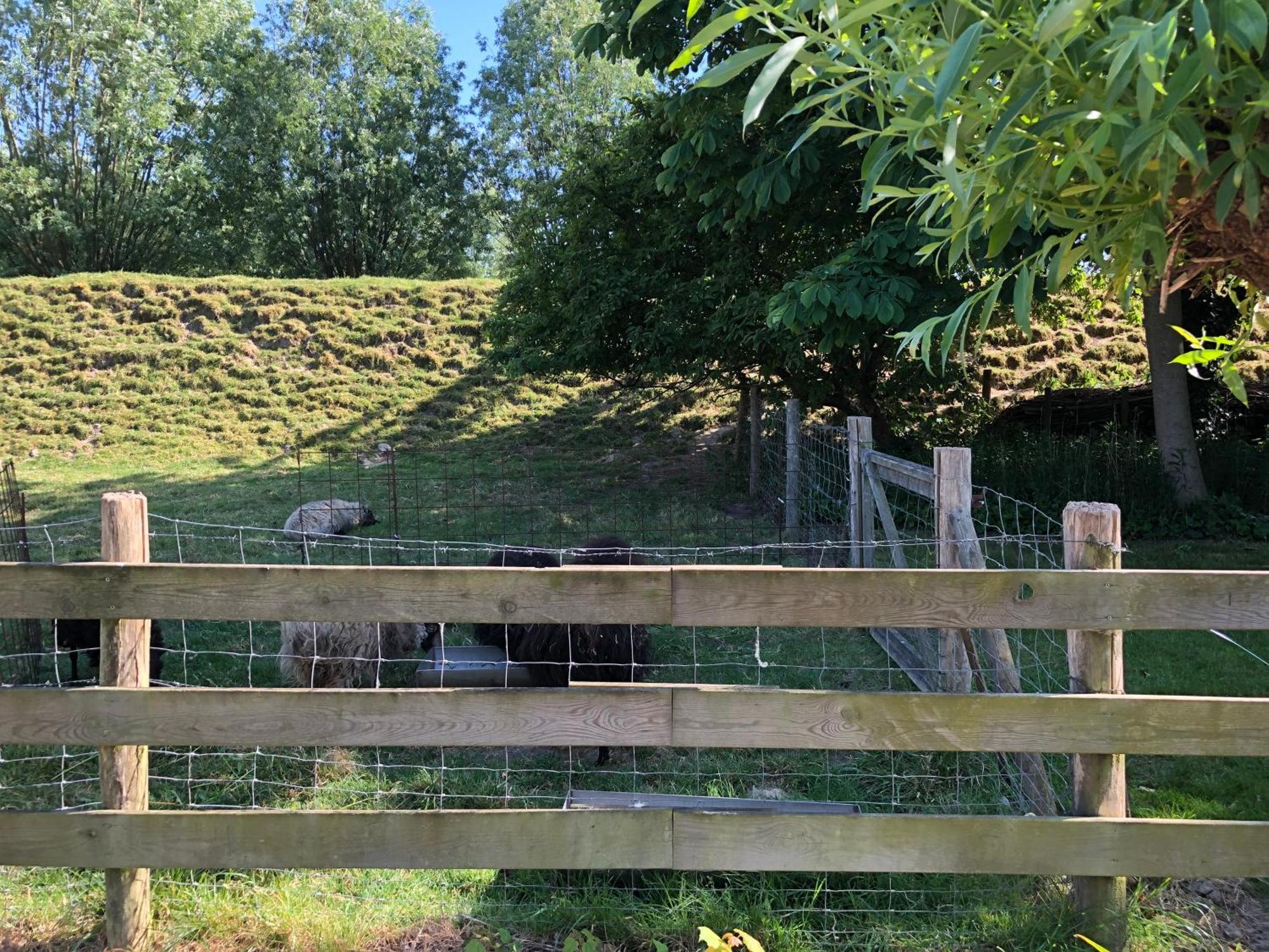 B&B De Tol Hulst Eksteriør bilde
